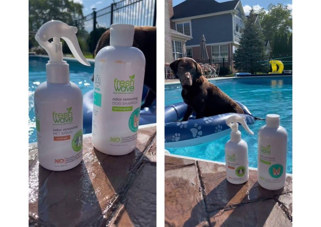 (Left) Odor Removing Pet Spray and Odor Removing Dog Shampoo bottles; (Right) the same bottles in the poolside with a dog in the background