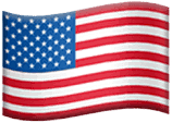 U.S. flag logo