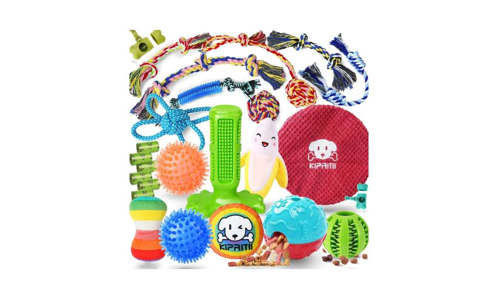Different toys that most dogs love to play.