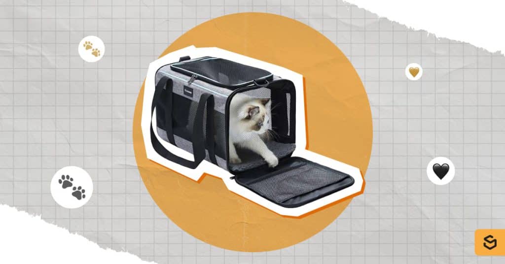 An image of the Vceoa Pet Carrier
