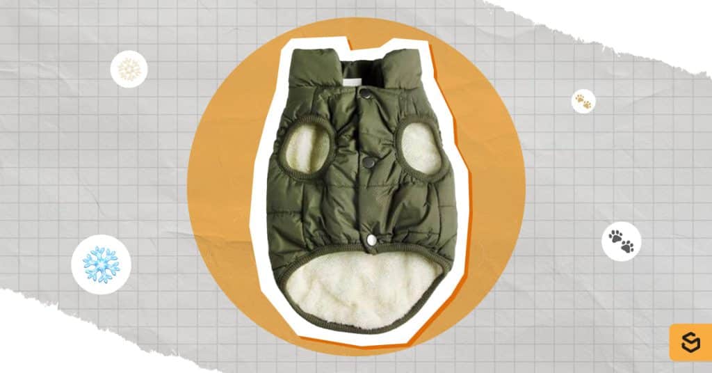 Une photo d'une veste d'hiver pour animal de compagnie