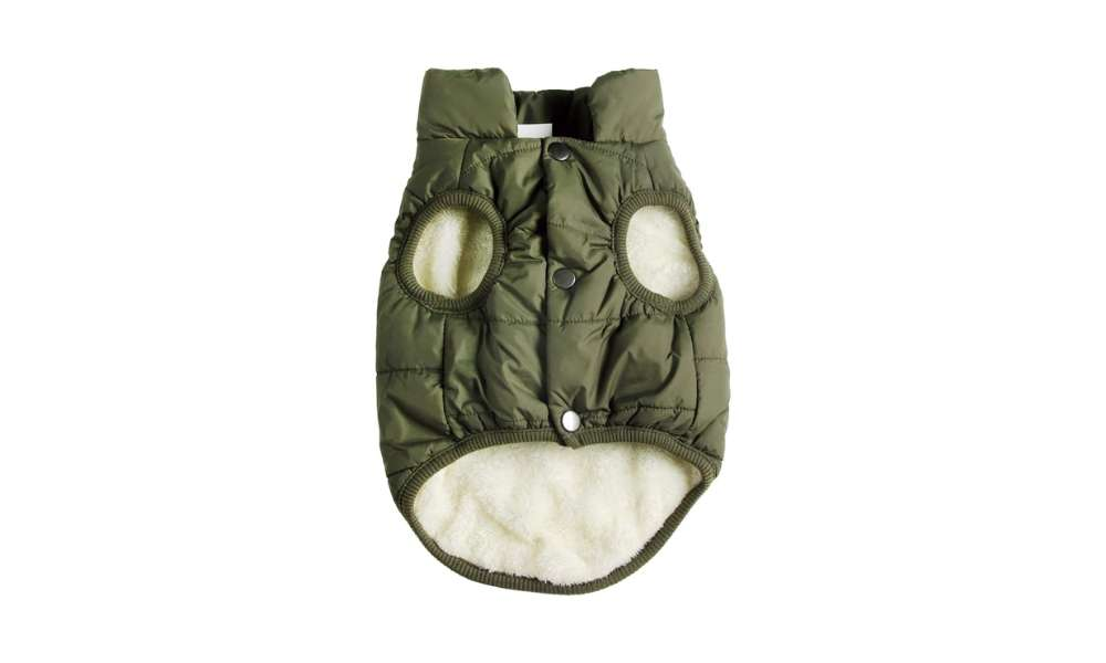 Winter jacket for pups to feel warm.