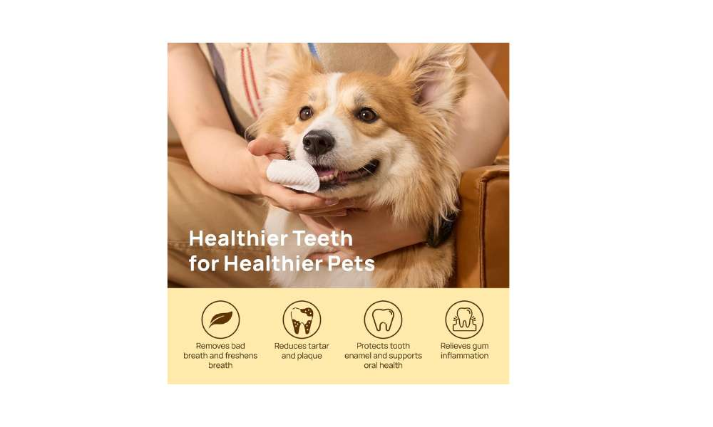 Wipes to clean pet's teeth and extend dental life.